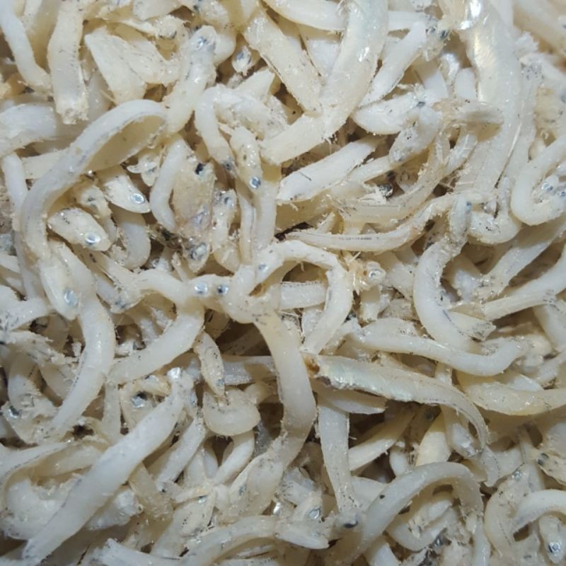 

Ikan Teri Asin Medan