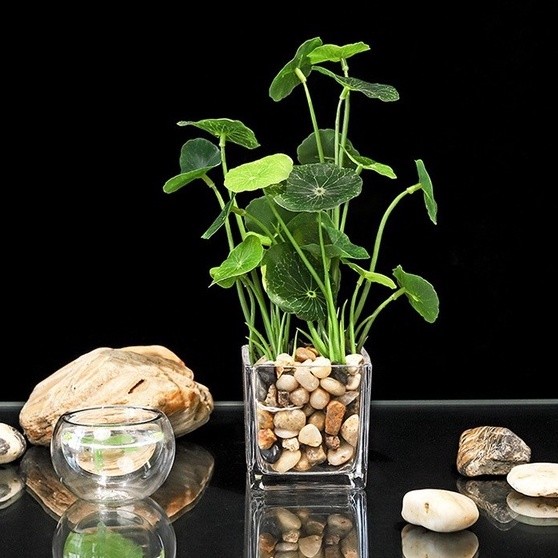 ERAQUE en Pot Plant / Pot Tanaman Hias Sintetis Palsu Artificial / Dekorasi Hiasan Rumah Tanaman