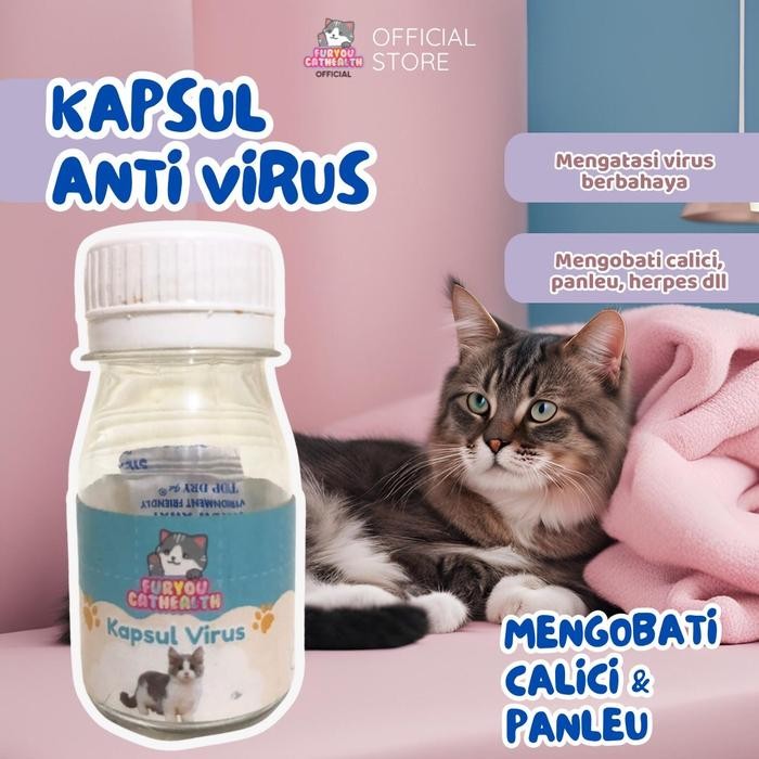 obat paket virus panleu calici distamper kucing