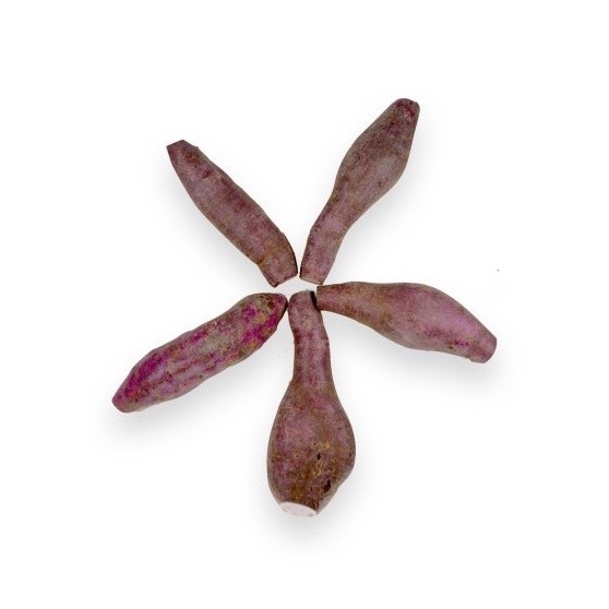 

Ubi Jepang Ungu organik 1kg