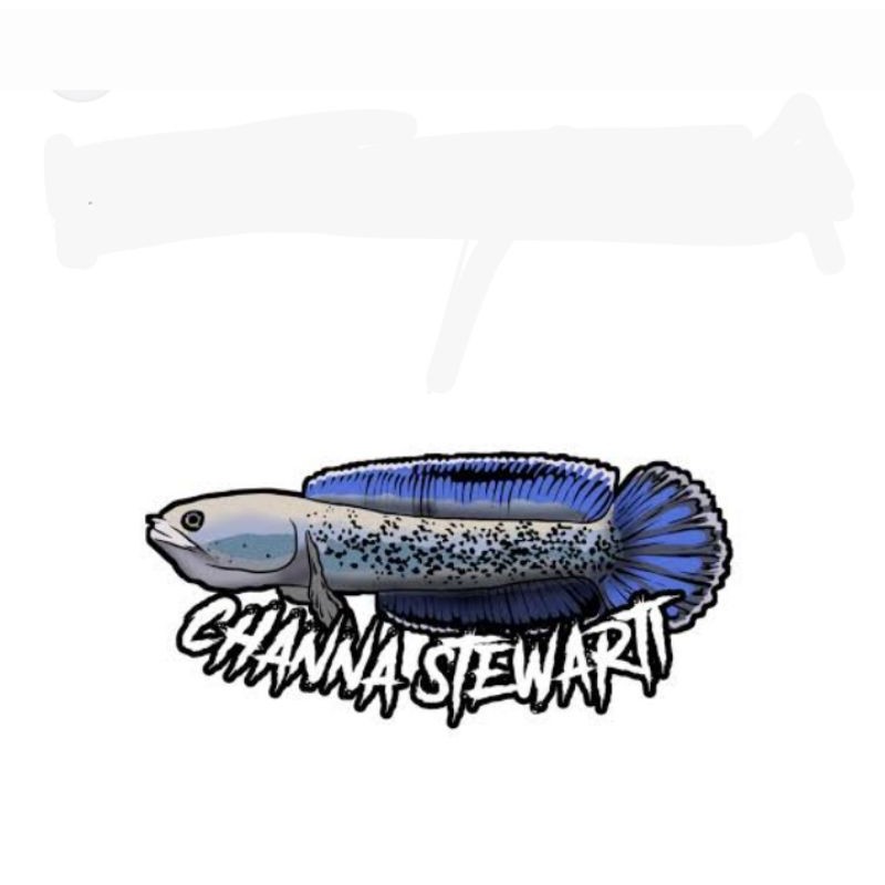 stiker Stewarti 5-10cm