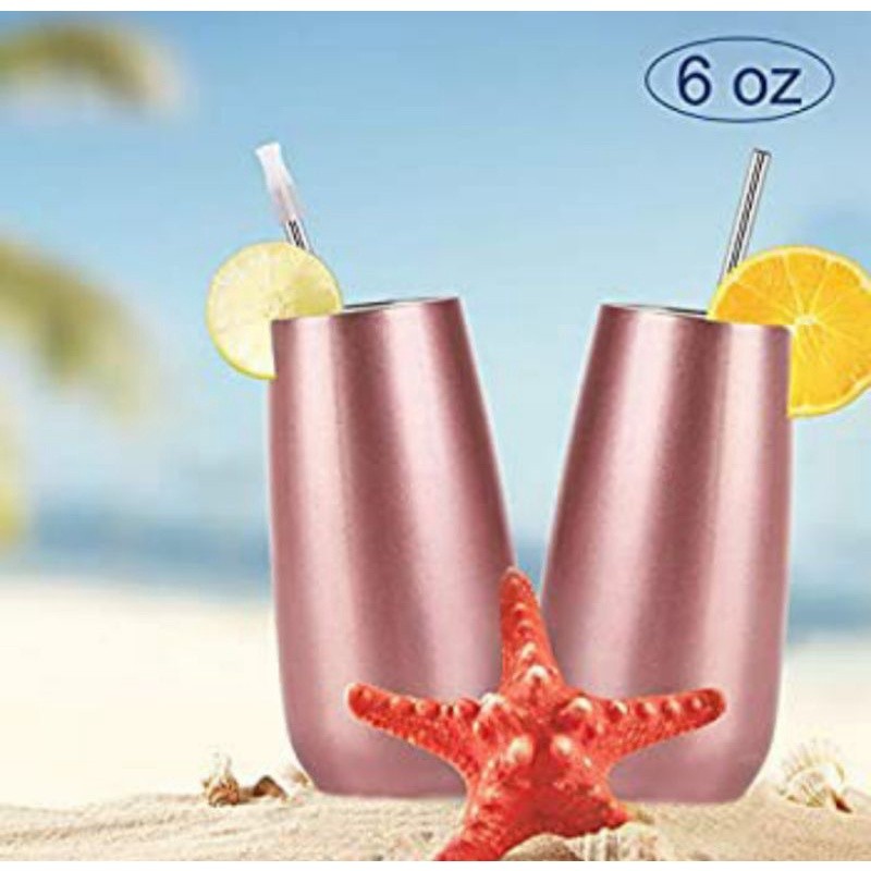 

Stainless Steel Double Wall Insulated Champagne Flute 180ml [PREMIUM]