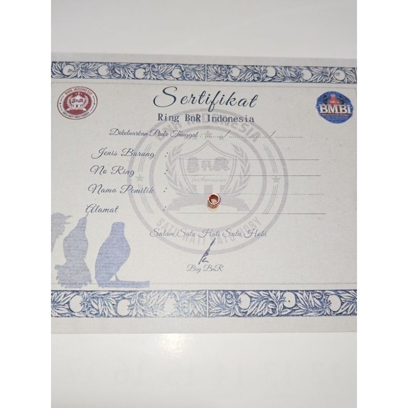 Fur Babies Ring Bnr Murai Plus Sertifikat Satuan Original Bnr