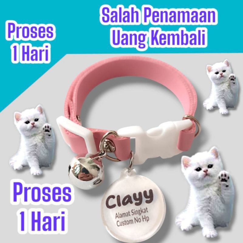 KALUNG KUCING KULIT CUSTOM NAMA NO HAPE ALAMAT SINGKAT