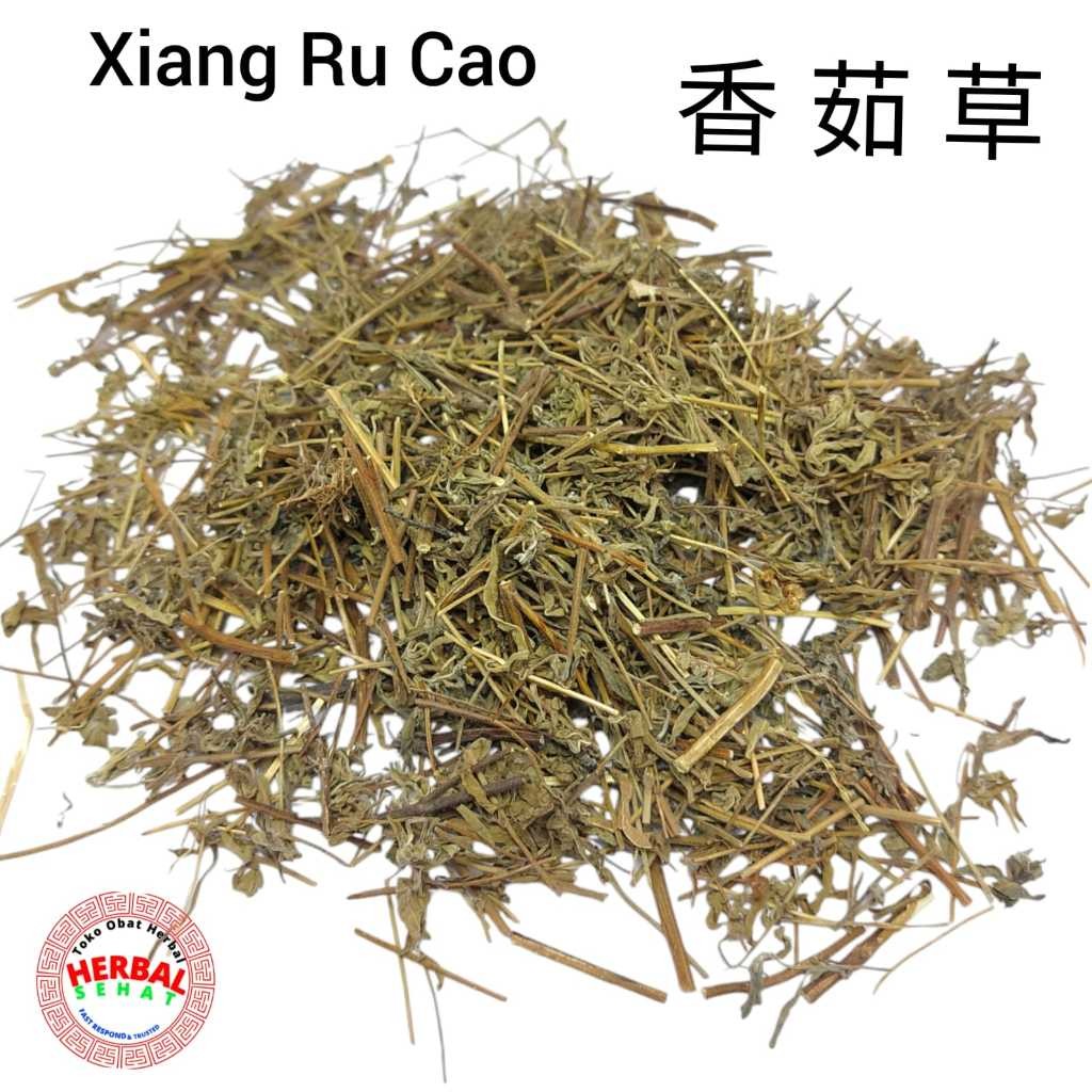 

100 Gram Xiang Ru Cao Chinese Mosla Herb [PREMIUM]