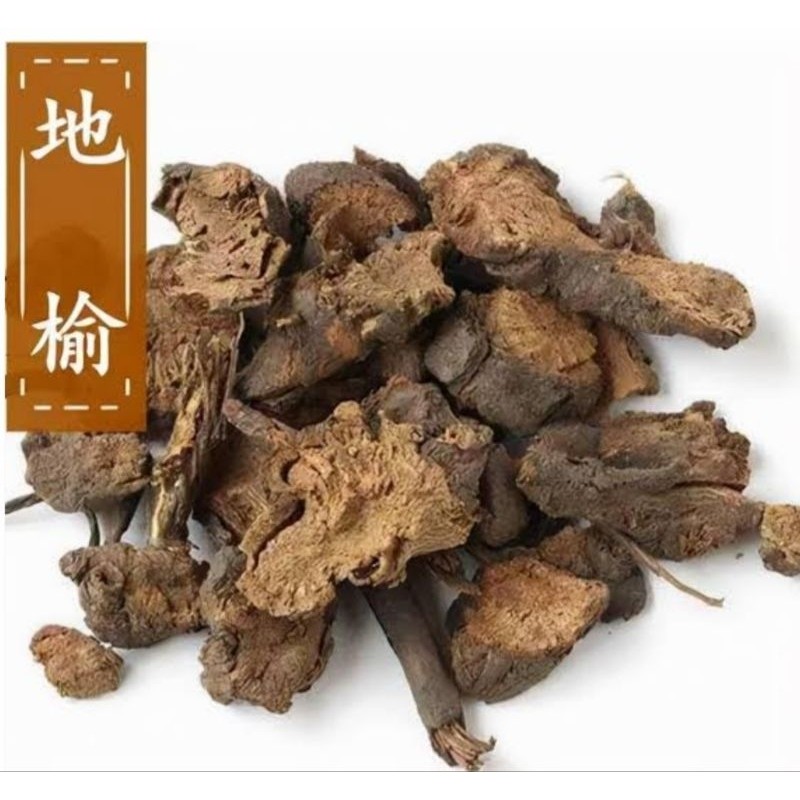 

Di Yu Pian 600 gram Sanguispora [PREMIUM]