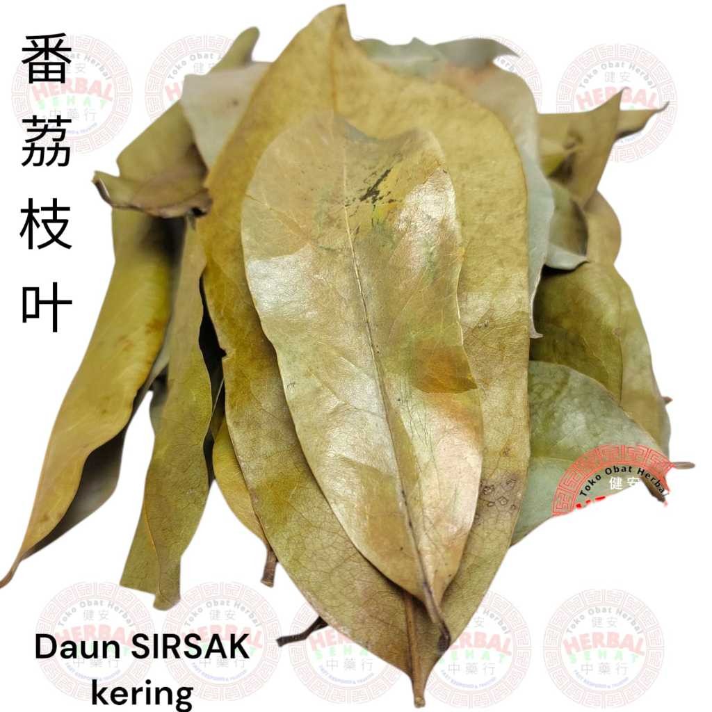

Daun Sirsak Kering Grade-A 250-500-1000 gram - Soursop Leaf -Tinggal Rebus/ Seduh [PREMIUM]