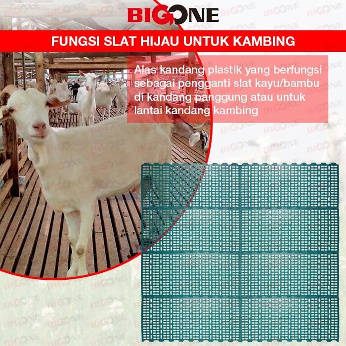Slat Kambing Hijau / alas kandang kambing / lantai kambing