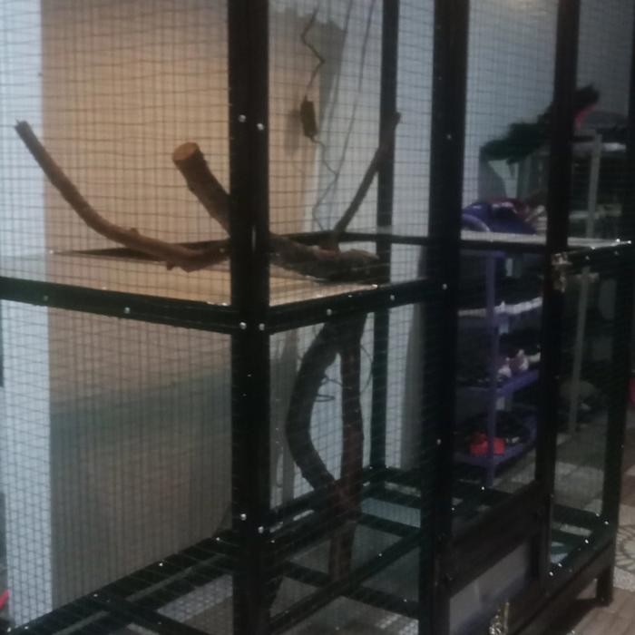 kandang iguana jumbo elegan