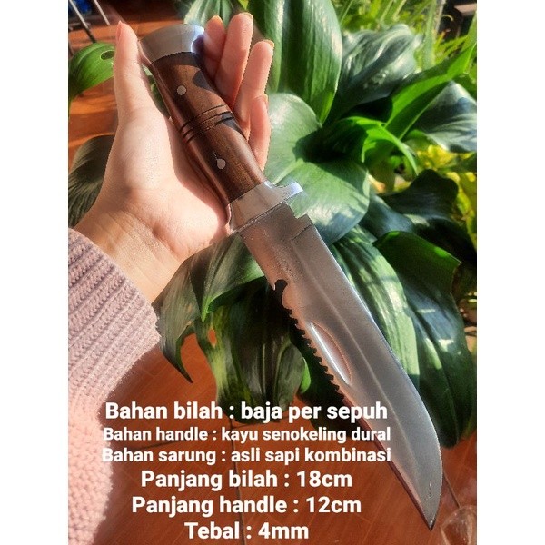 viral Rambo Anak Set Pisau Camping Tajam Keren