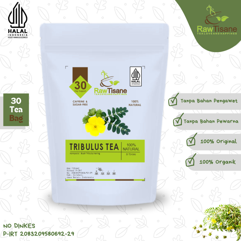 

RAW TISANE Tribulus Terrestris Fruit Tea : Teh Buah Tribulus Isi 30 Tea Bag