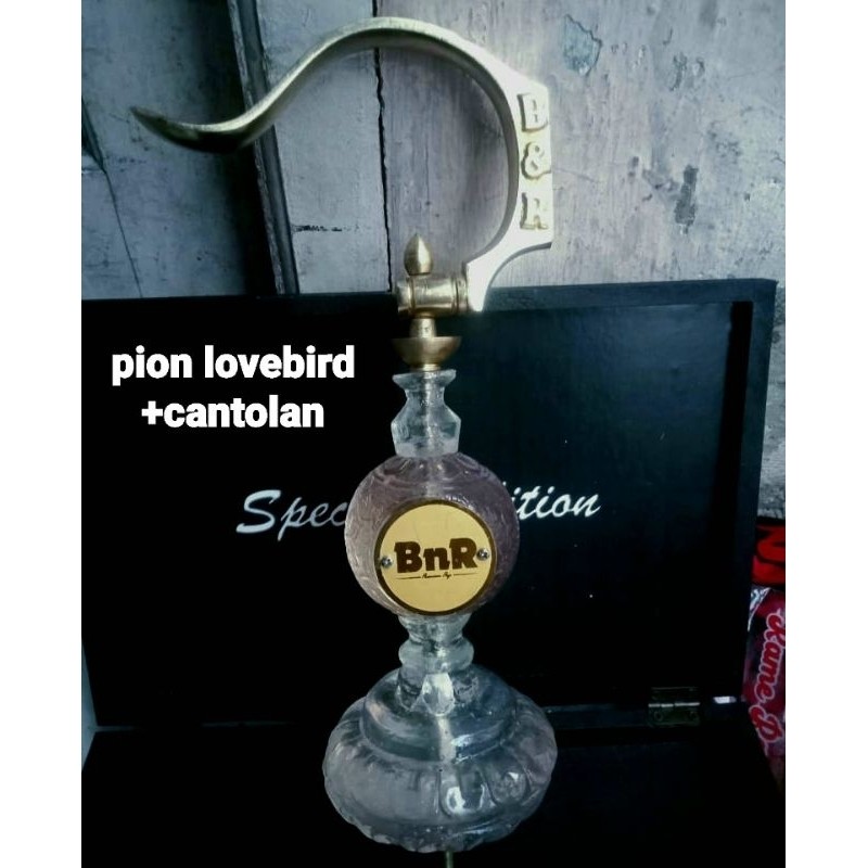 RB22 pion BnR lovebird + cantolan original,