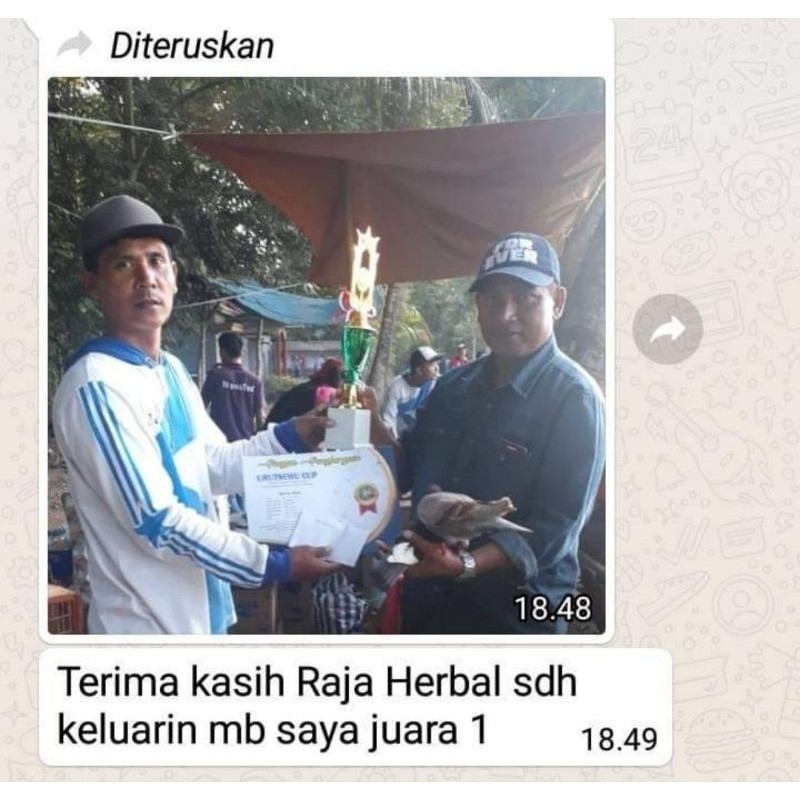 RB22 Jamu Raja Herbal Merpati Jamu Merpati Tinggian Juara Produksi SAVIOLA