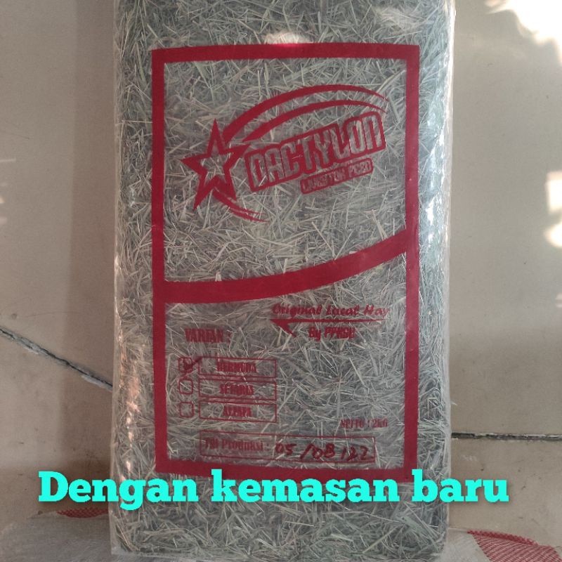 RB22 HAY DACTYLON "BERMUDA" kemasan 2 kg