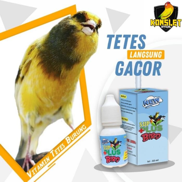 Asli.. Sup Plus Bird - Vitamin Penggacor Burung Kenari