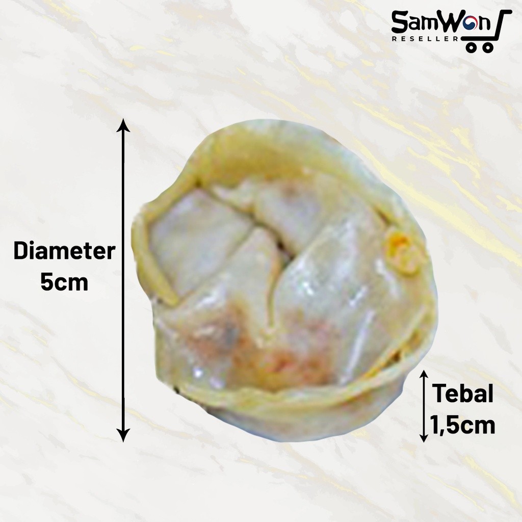 

Terlaris! Kimchi MANDU Korean Dumpling Gyoza Pangsit Korea Gyoja 12pcs