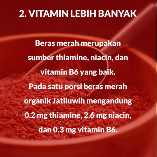 

Terlaris! JATILUWIH Beras Merah Organik Sehat 1 kg