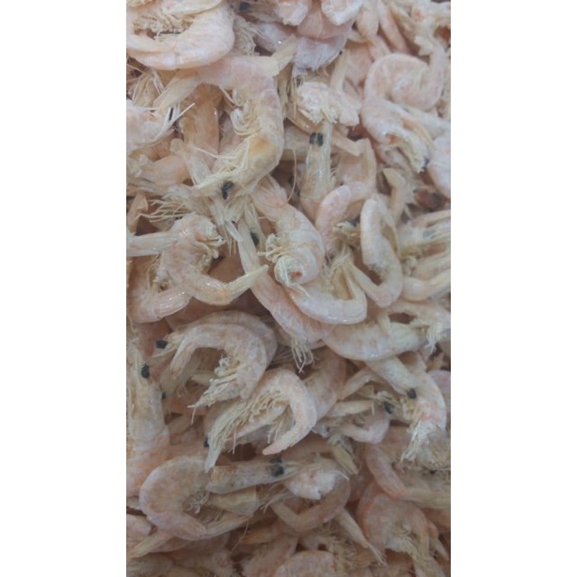 

Terlaris! Udang Kering Medan 250gr