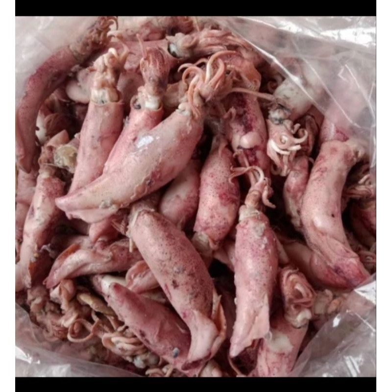 

Terlaris! cumi asin 250gr