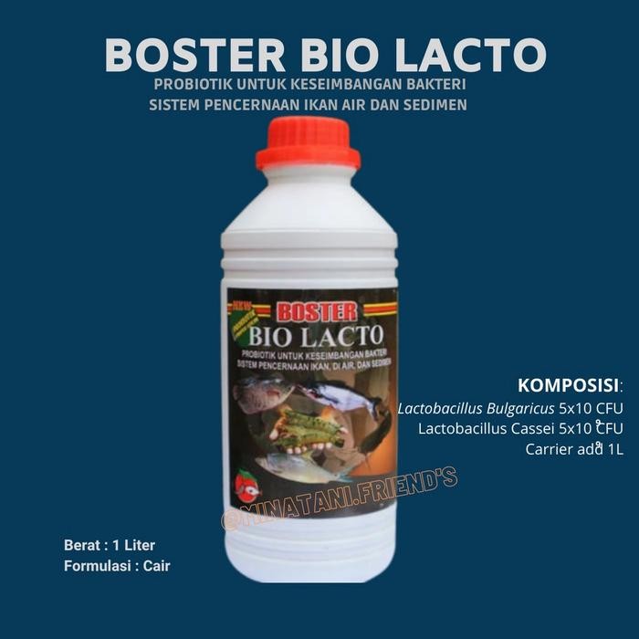 BIOLACTO PROBIOTIK LACTOBACILLUS BOSTER