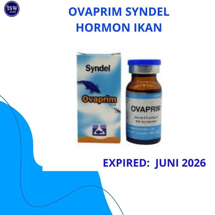 OVAPRIM PRODUK SYNDEL HORMON IKAN 10ML
