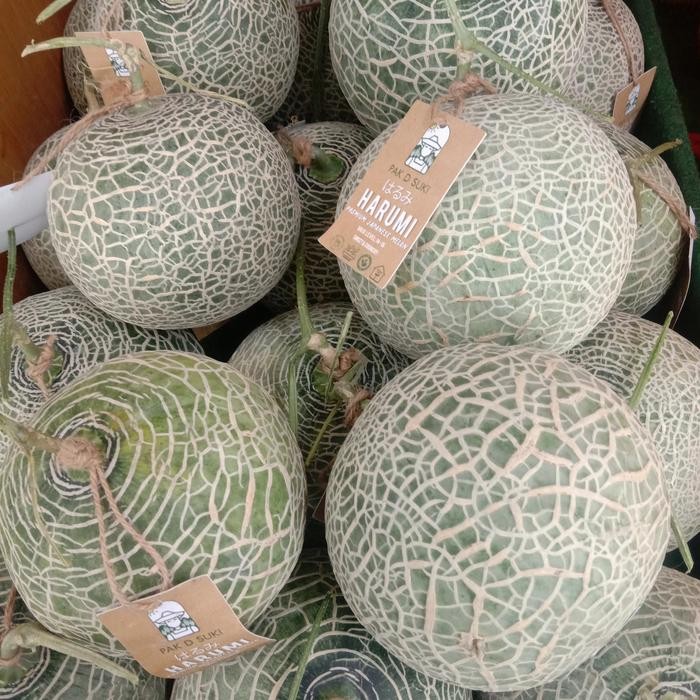 Terlaris Buah Melon Jepang Hidroponik