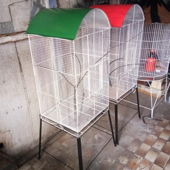 kandang burung koloni lovebird
