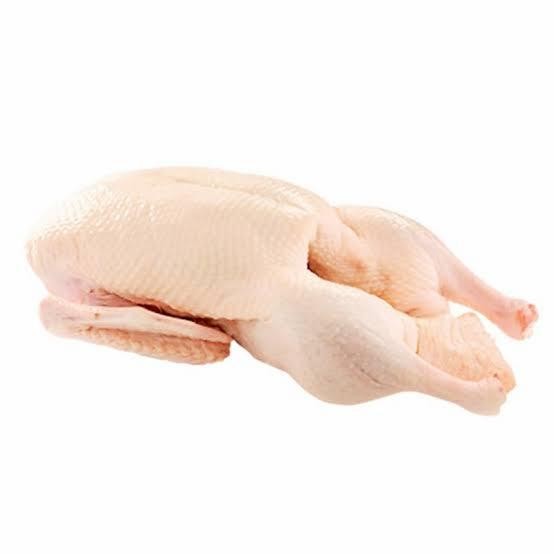 

Grosir per 1 Ekor Bebek Murah