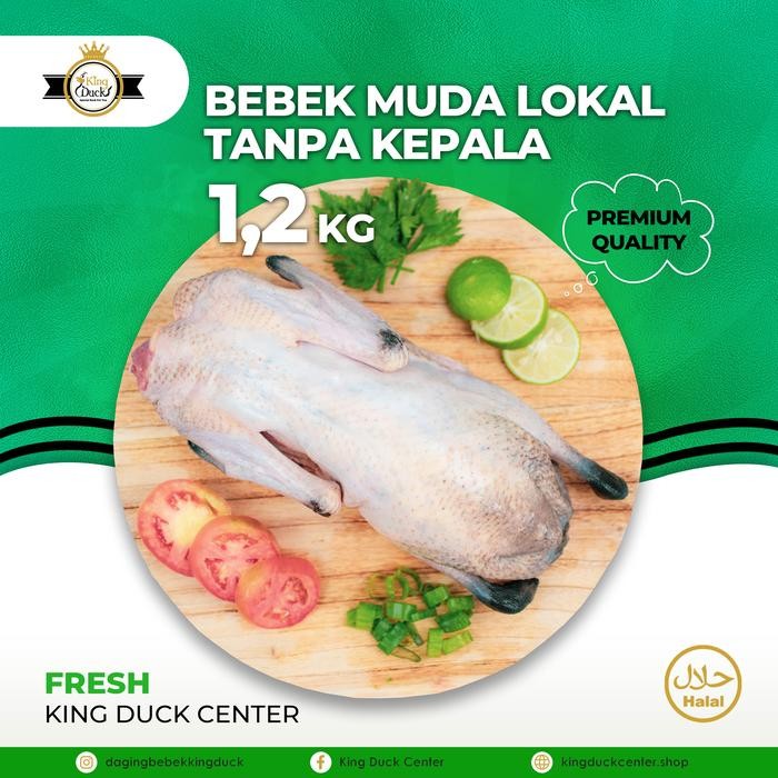 

DAGING BEBEK LOKAL MUDA 1,2 KG TANPA KEPALA KAKI
