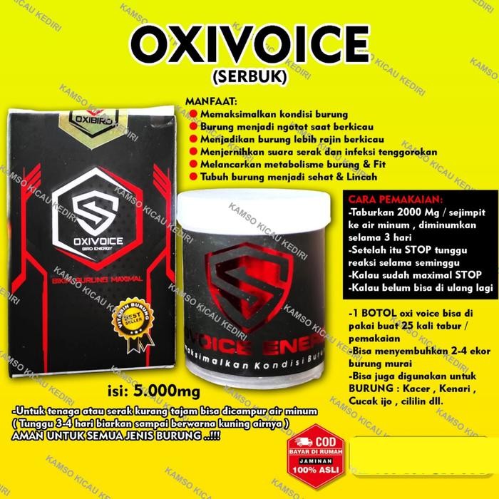 READY OXIVOICE OXI VOICE ENERGY ASLI OXIBIRD CHANEL