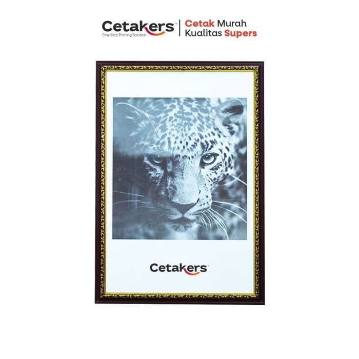 [Expert] Bingkai Foto 16R