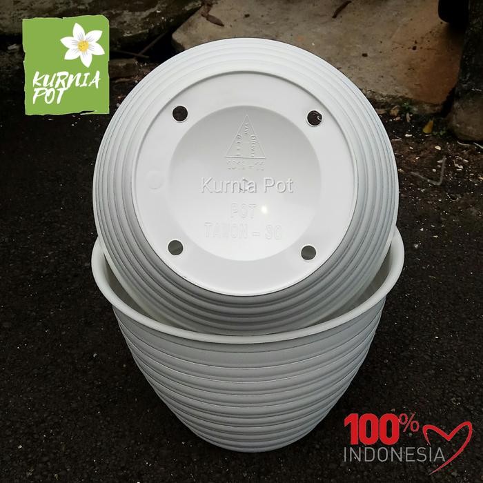 Pot Tanaman Bunga Tawon 30 Cm Bj Warna Putih