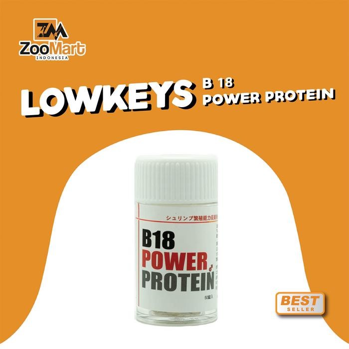 Lowkeys B18 Power Protein