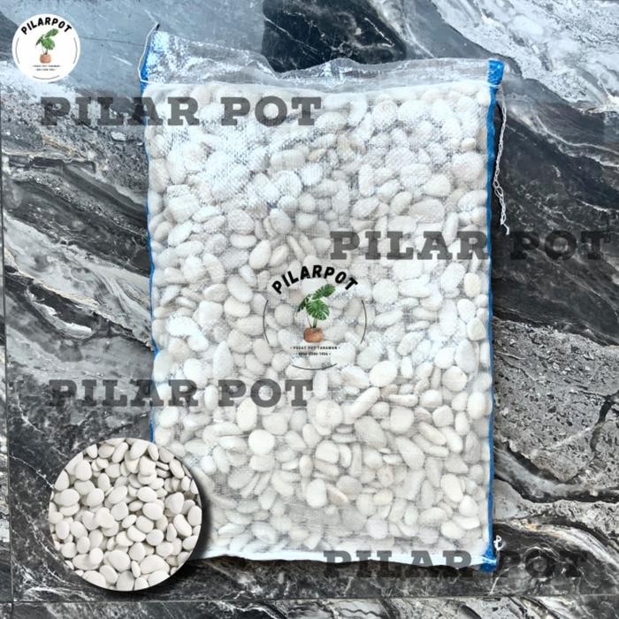 Batu Koral Putih Batu Taman Batu Hias 1 Karung