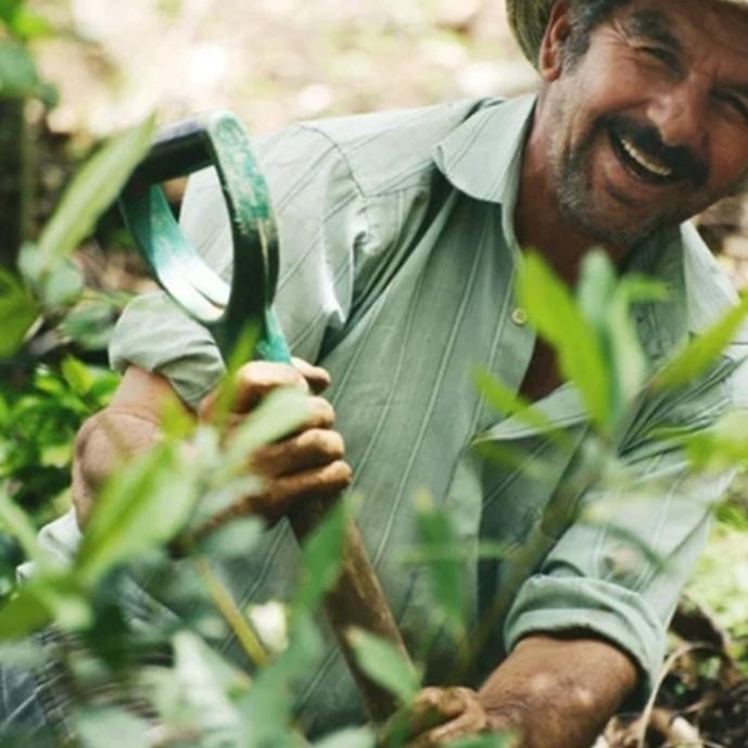 

Panama Mama Cata Estate Geisha Washed Green Beans