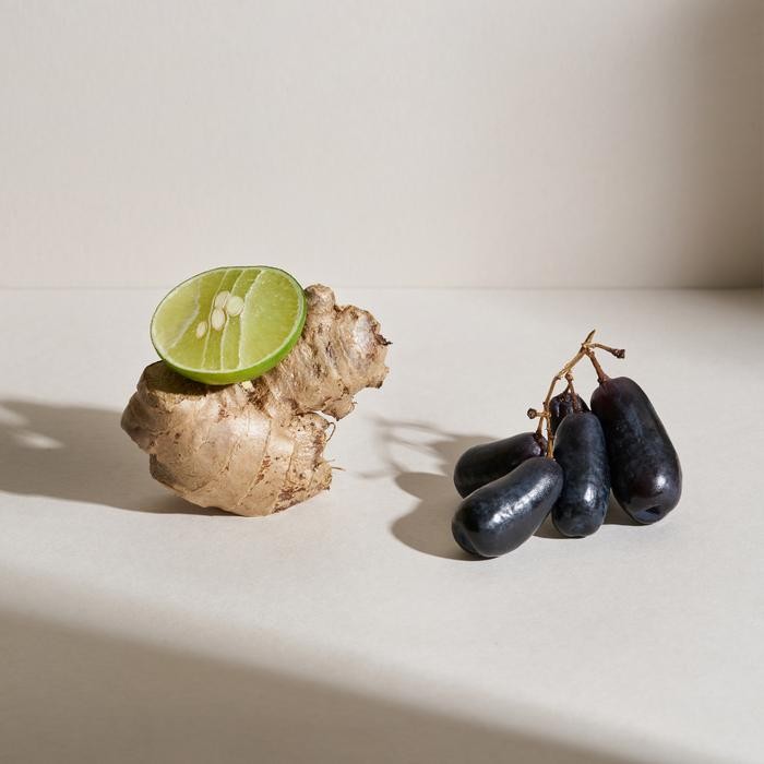 

TANAMERA COFFEE Toraja Sapan 250g