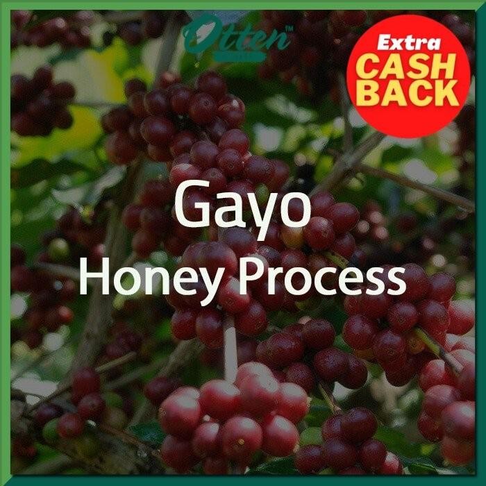 

Green Bean Kopi Arabica Aceh Gayo Honey Process - 1 Kg - Biji Kopi Mentah Siap Roasting - Otten