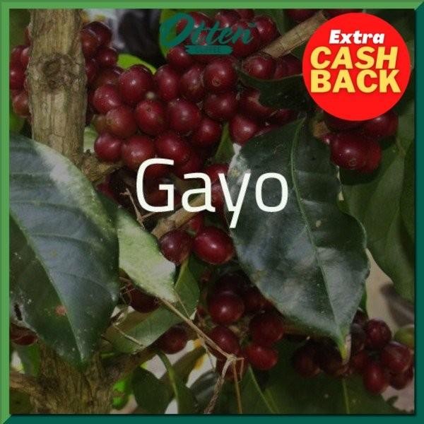 

Green Bean Aceh Gayo Atu Lintang - 1 Kg - Otten Coffee