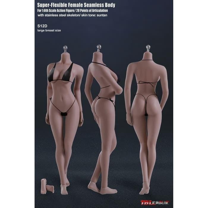 PHICEN TBLEAGUE FEMALE BODY SUNTAN S02A S06B S09C S12D 1/6 KODE 880