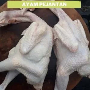

ayam pejantan ukuran sedang 1 ekor 600g