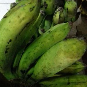 

pisang raja kecil hijau 1per pack