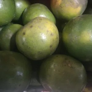 

jeruk peras 1kg 1000g