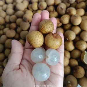 KELENGKENG LABEL GOLD 500g