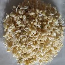 TAUGE PENDEK 250 gram