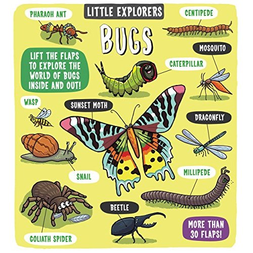Kinokuniya Children Book - Little Explorers Bugs - 9781783708659