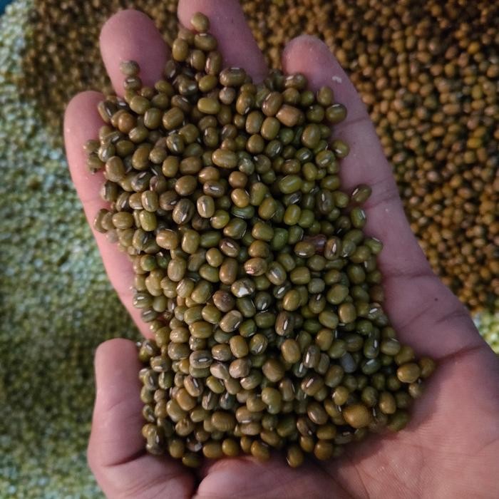 

TERMURAH kacang ijo super 1kg READY STOCK