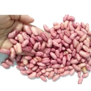

kacang merah basah 250g