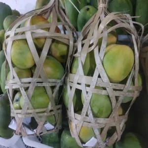 

mangga gedong (1keranjang bambu 3kg) 1per pack
