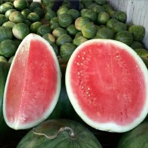 

semangka non biji 3.5kg 3.5kg