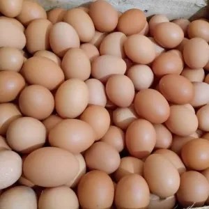 telur ayam 1kg 1000g
